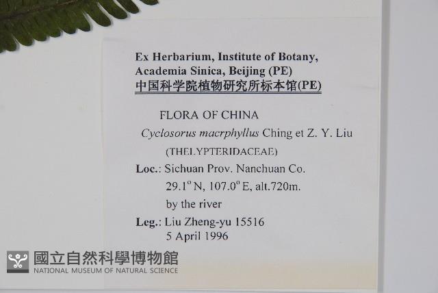 登錄號:P005691藏品圖，第2張