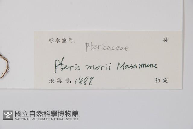 登錄號:P012891藏品圖，第2張