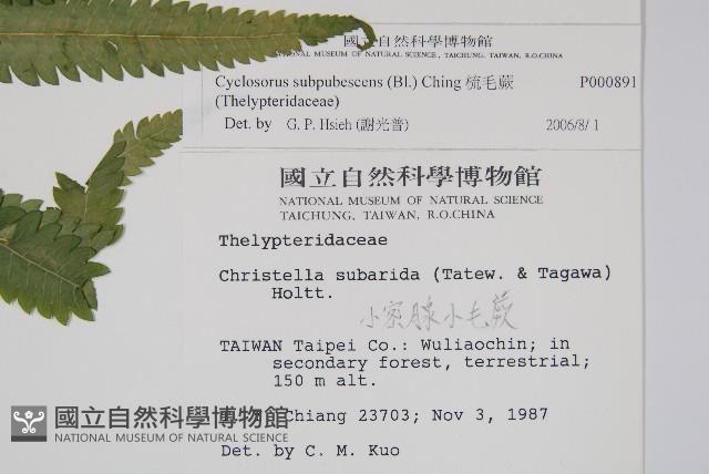 Accession Number:P000891 Collection Image, Figure 2, Total 2 Figures