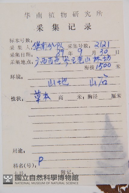 中越蹄蓋蕨藏品圖，第2張