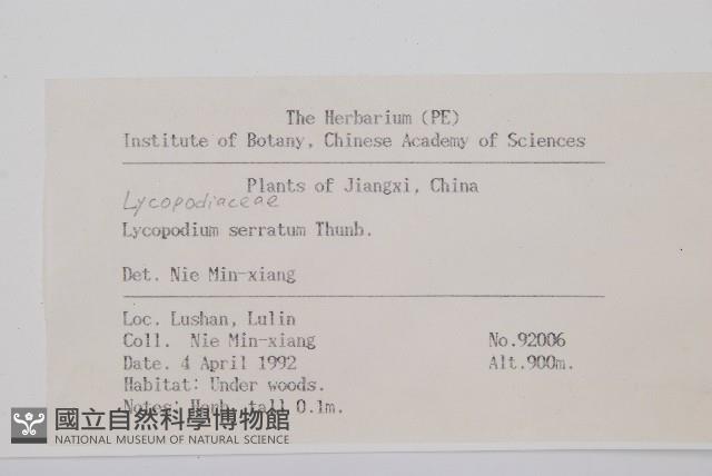 千層塔藏品圖，第2張