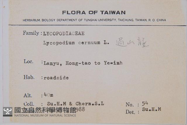 Staghorn clubmoss Collection Image, Figure 2, Total 2 Figures