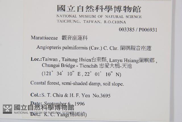 蘭嶼觀音座蓮藏品圖，第2張