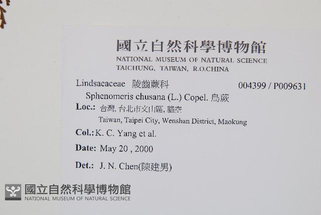 烏蕨藏品圖，第2張