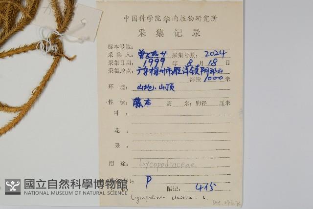 石松藏品圖，第2張