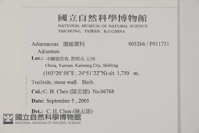 登錄號:P011731藏品圖，第2張