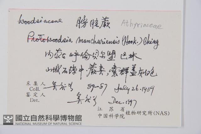 登錄號:P006331藏品圖，第2張