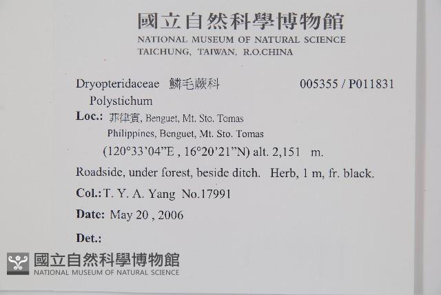 登錄號:P011831藏品圖，第2張