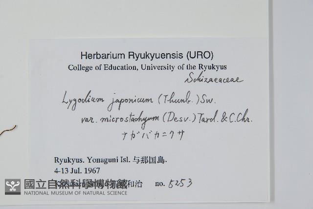 登錄號:P005831藏品圖，第2張