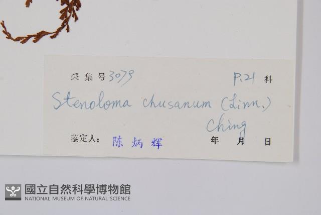 烏蕨藏品圖，第2張