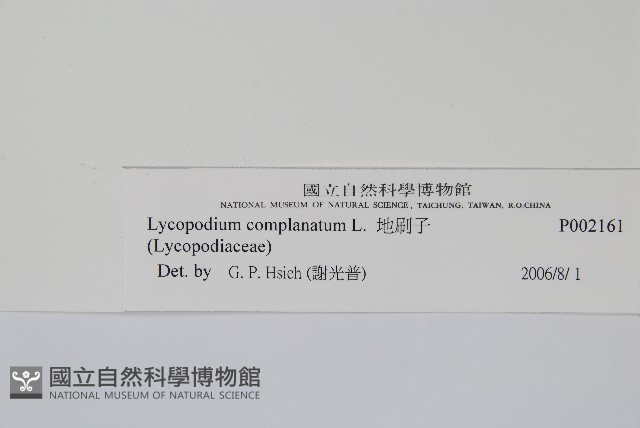 地刷子藏品圖，第2張