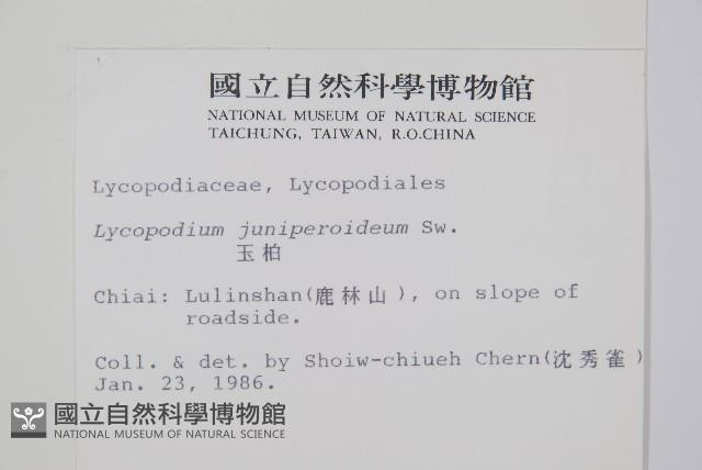 玉柏藏品圖，第2張