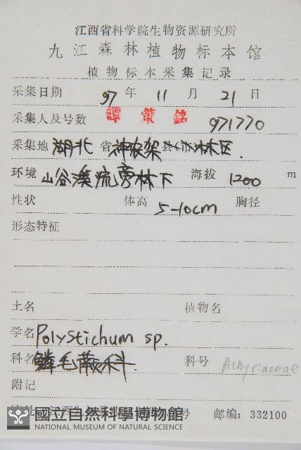 岩蕨藏品圖，第2張