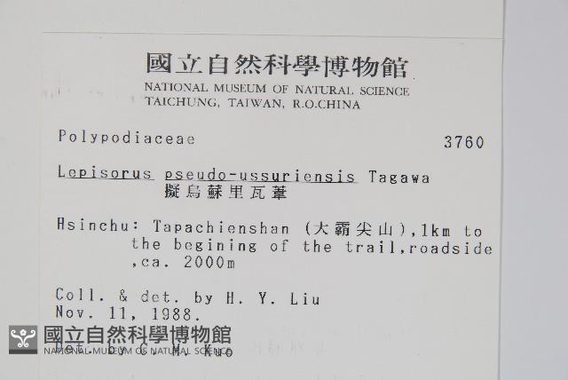 擬芨瓦葦藏品圖，第2張