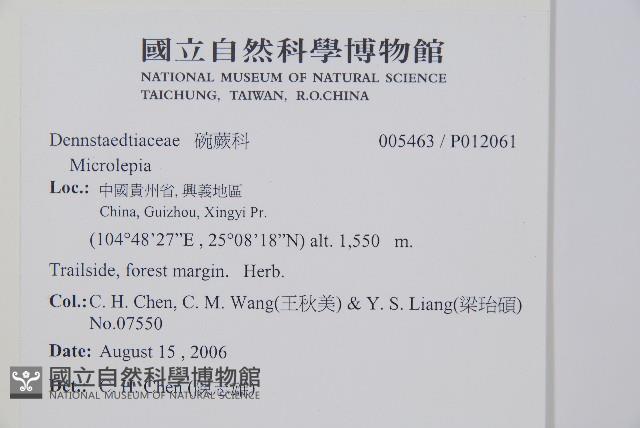 登錄號:P012061藏品圖，第2張