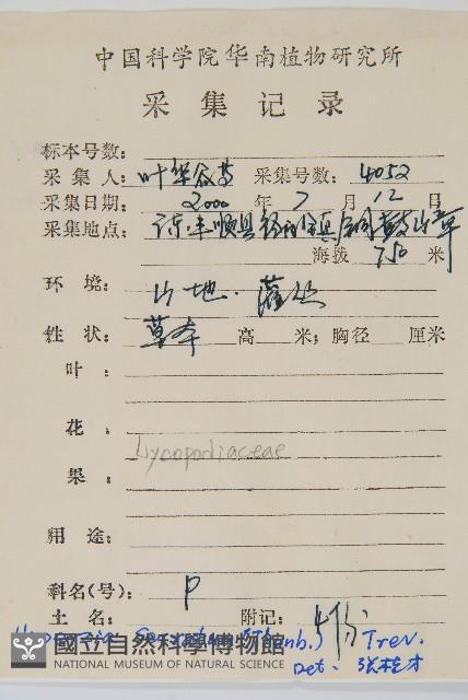 千層塔藏品圖，第2張