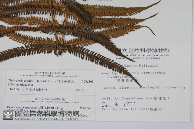 Accession Number:P002361 Collection Image, Figure 2, Total 2 Figures