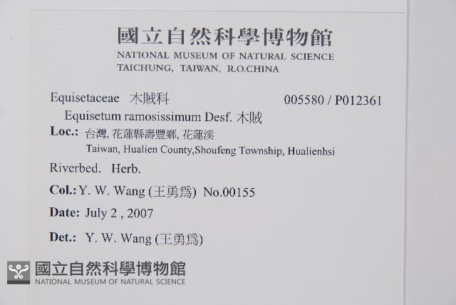 木賊藏品圖，第2張