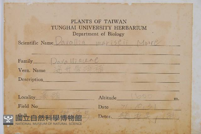 海州骨碎補藏品圖，第2張