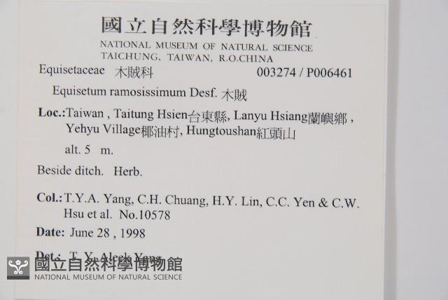 木賊藏品圖，第2張