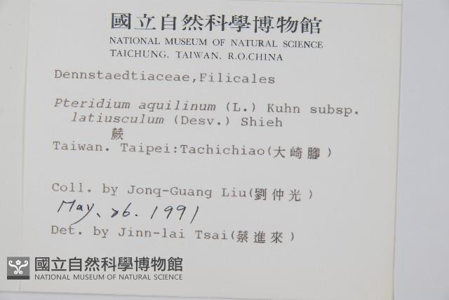 蕨藏品圖，第2張