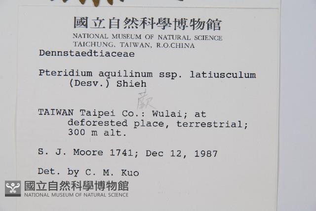 蕨藏品圖，第2張