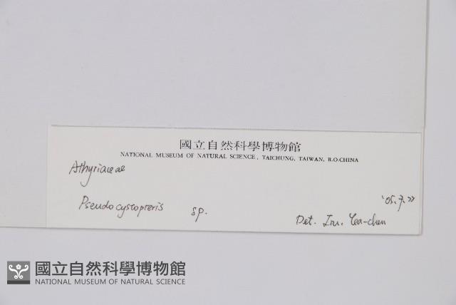 登錄號:P003861藏品圖，第2張