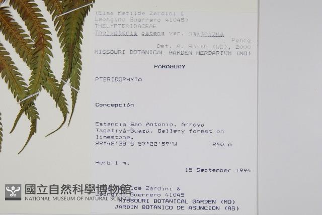 登錄號:P010261藏品圖，第2張