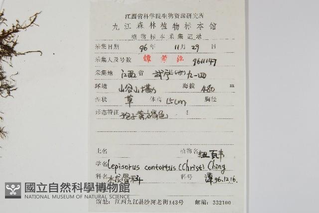 扭瓦葦藏品圖，第2張