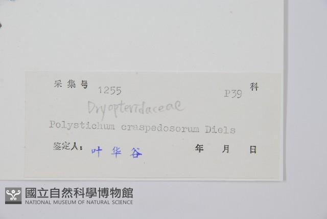 Accession Number:P004941 Collection Image, Figure 2, Total 2 Figures