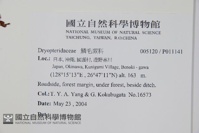 登錄號:P011141藏品圖，第2張