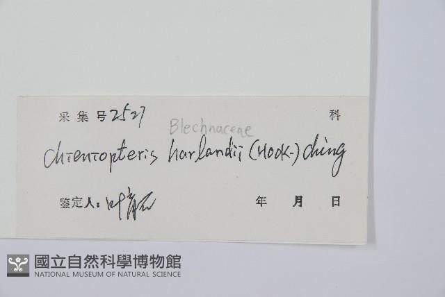 Accession Number:P010541 Collection Image, Figure 1, Total 4 Figures