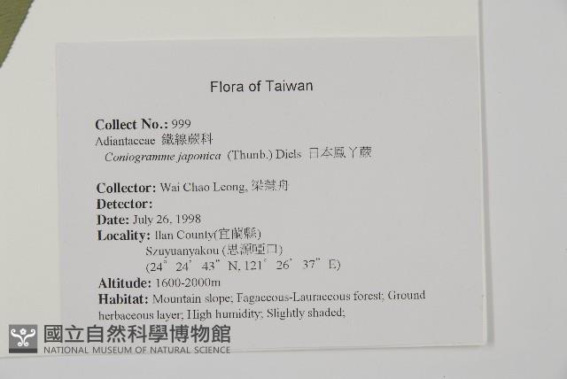 Accession Number:P011541 Collection Image, Figure 2, Total 9 Figures