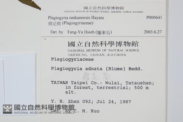 瘤足蕨藏品圖，第2張