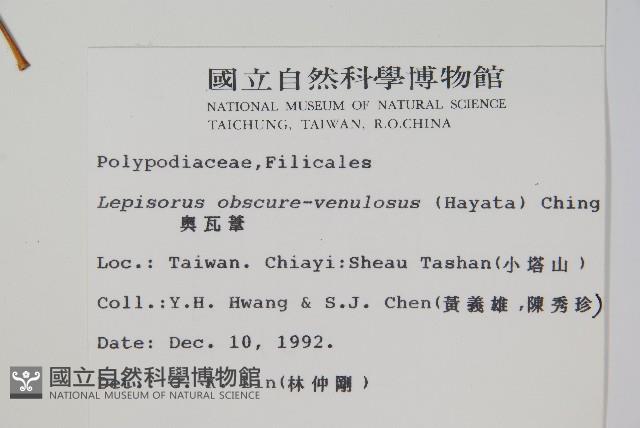 粵瓦葦藏品圖，第2張