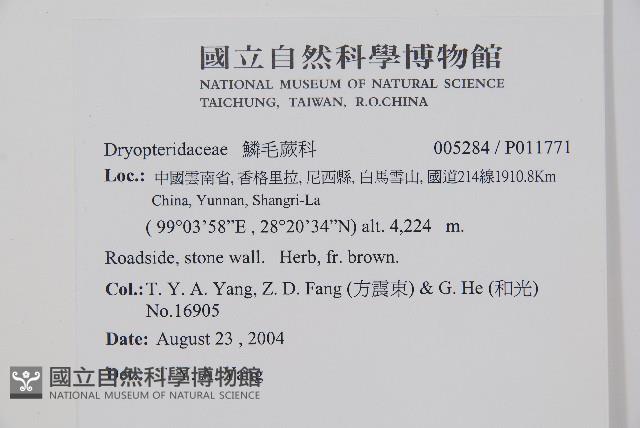 登錄號:P011771藏品圖，第2張