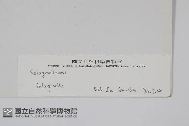 Accession Number:P003771 Collection Image, Figure 2, Total 2 Figures