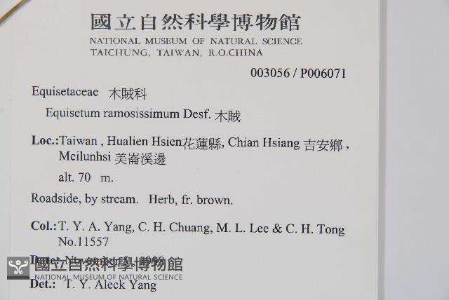 木賊藏品圖，第2張