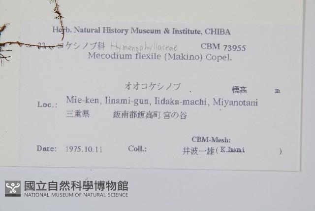 登錄號:P011071藏品圖，第2張