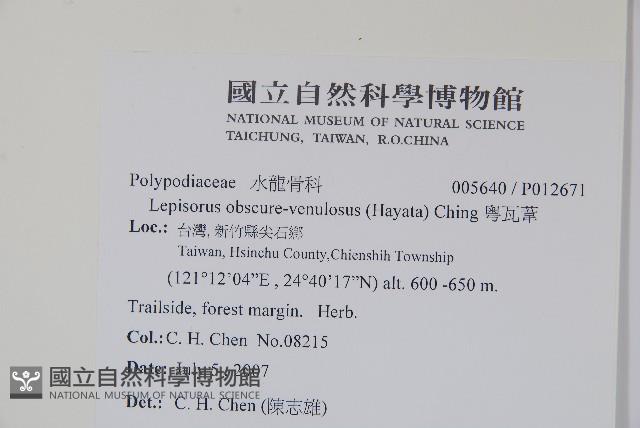 Accession Number:P012671 Collection Image, Figure 2, Total 2 Figures