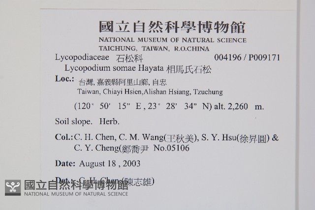 相馬氏石松藏品圖，第2張