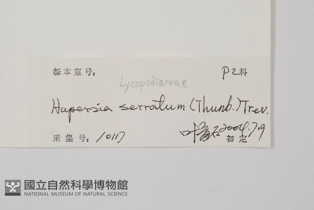 千層塔藏品圖，第2張