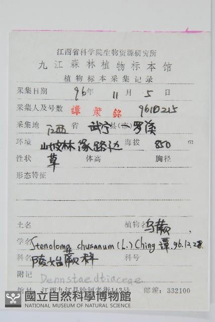 烏蕨藏品圖，第2張