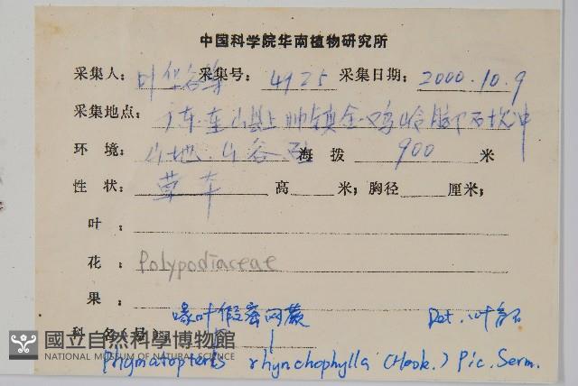 岡本氏茀蕨藏品圖，第2張