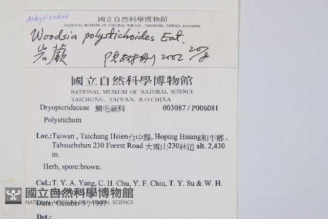 岩蕨藏品圖，第2張