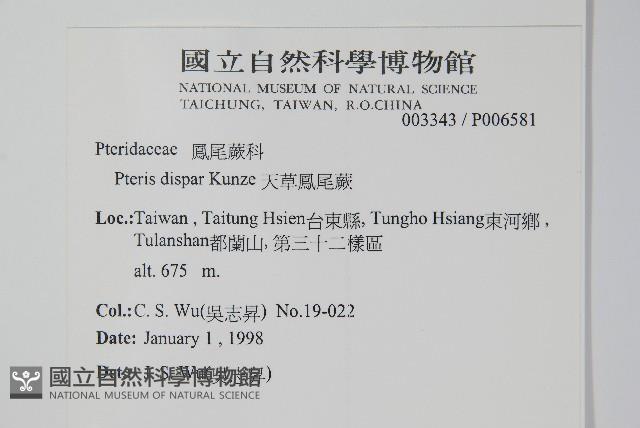 Accession Number:P006581 Collection Image, Figure 2, Total 2 Figures