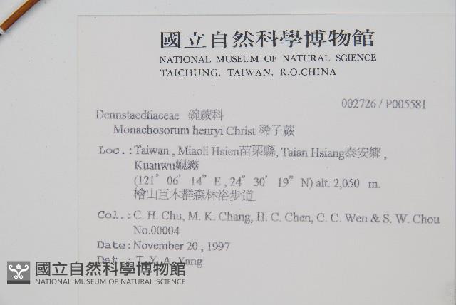 稀子蕨藏品圖，第2張