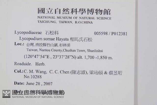 相馬氏石松藏品圖，第2張