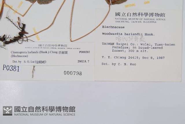 崇澍蕨藏品圖，第2張