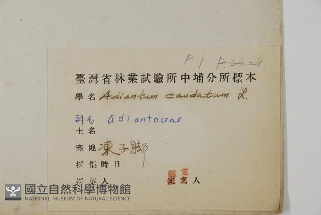 Accession Number:P007381 Collection Image, Figure 2, Total 5 Figures